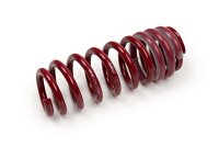 MTS Technik Spare Part Spring - GWFE34HA