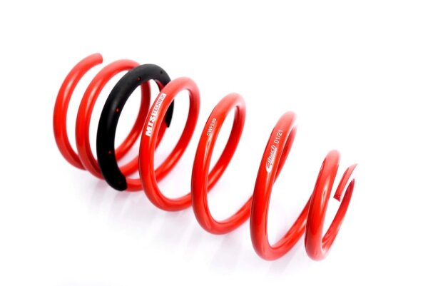 MTS Technik Spare Part Spring - GWFE89-01