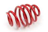 MTS Technik Spare Part Spring - GWFE04HA