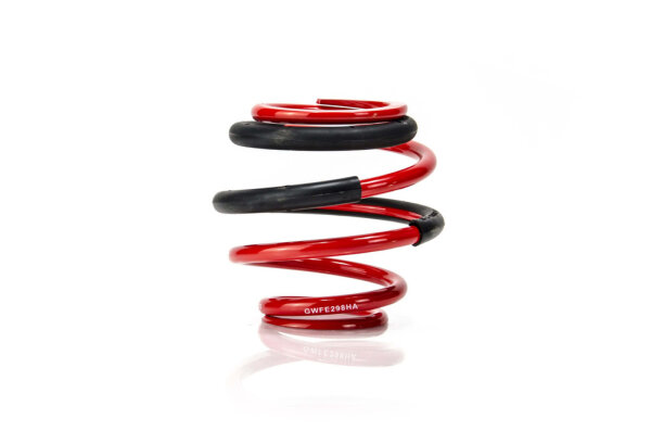 MTS Technik Replacement Spring - GWFE298HA