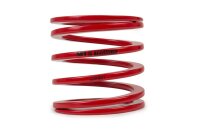 MTS Technik Spare Part Auxiliary Spring - GWHE01
