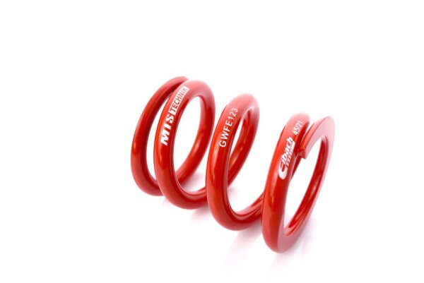 MTS Technik Spare Part Spring - GWFE123