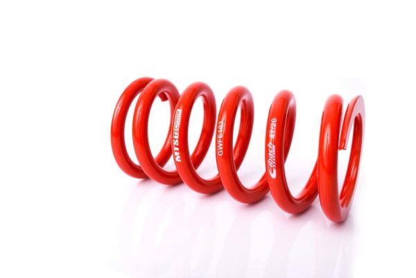 MTS Technik Spare Part Spring - GWFE103