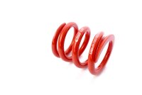 MTS Technik Spare Part Spring - GWFE124