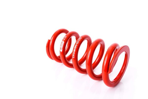 MTS Technik Spare Part Spring - GWFE189