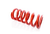 MTS Technik Spare Part Spring - GWFE210