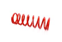 MTS Technik Spare Part Spring - GWFE213