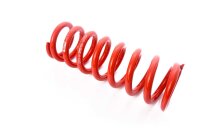 MTS Technik Spare Part Spring - GWFE217