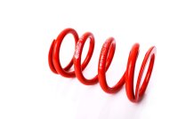 MTS Technik Spare Part Spring - GWFE87