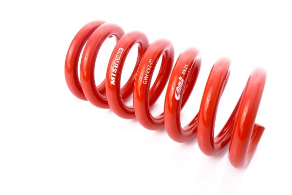 MTS Technik Spare Part Spring - GWFE92-01