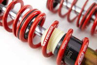MTS Street Gold coilover suspension suitable for...