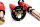 MTS Street Gold coilover suspension suitable for BMW 3 (E21) 316 66 KW MTSGWBM17