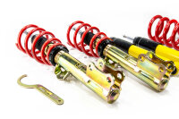 MTS Street Gold coilover suspension suitable for Ford USA MUSTANG 6 Convertible 5.0 V8 310 KW MTSGWFO24