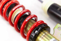 MTS Street Gold coilover suspension suitable for Ford...