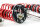 MTS Street Inox coilover suspension suitable for BMW 5 (E39) 520 i 120 KW XMTSGWBM101