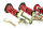 MTS Stance Gold coilover suspension suitable for Subaru BRZ (ZC) 2.0 (ZC6) 147 kW MTSGWTO03-S