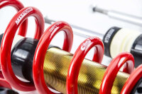 MTS Street Gold coilover suspension suitable for Nissan 370Z Roadster (Z34) 3.7 241 kW MTSGWNI02