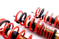 MTS Street Gold coilover suspension suitable for BMW 5...