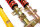 MTS Stance Gold coilover suspension suitable for BMW 3 Coupe (E36) 318 is - 103 KW MTSGWBM01-S