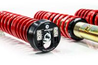 MTS Stance Gold coilover suspension suitable for Seat...