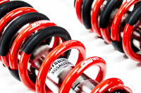 MTS Stance Inox coilover suspension suitable for Audi 80...