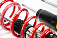 MTS Street Inox coilover suspension suitable for BMW 3 (F30) 320 i xDrive - 135 KW XMTSGWBM67