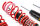 MTS Street Inox coilover suspension suitable for BMW 3 Gran Turismo (F34) 325 d - 160 kW XMTSGWBM26