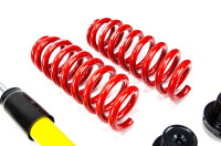 MTS Street Inox coilover suspension suitable for BMW 4 Gran Coupe (F36) 420 i xDrive - 135 KW XMTSGWBM69